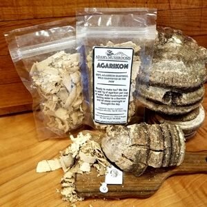 Agarikon