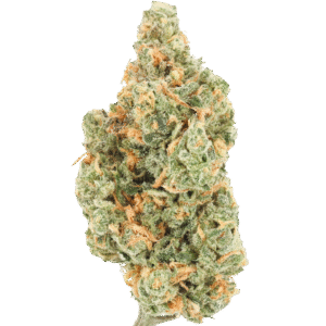 BLUE DREAM
