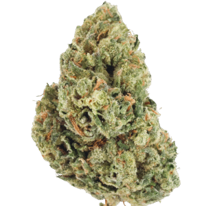 Larry Bird |1 Ounce
